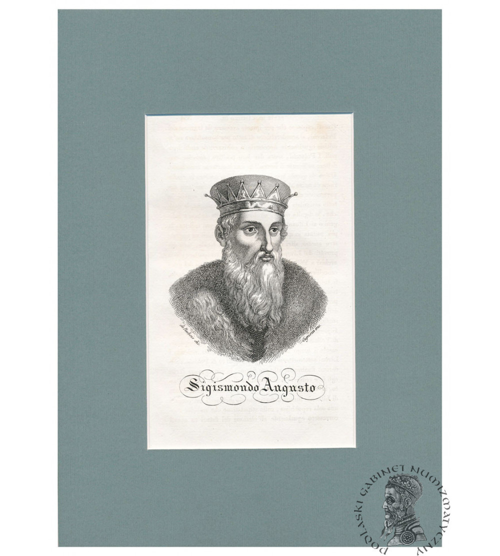 Zygmunt II August, Król Polski, portret, staloryt XIX w., Leonard Chodźko