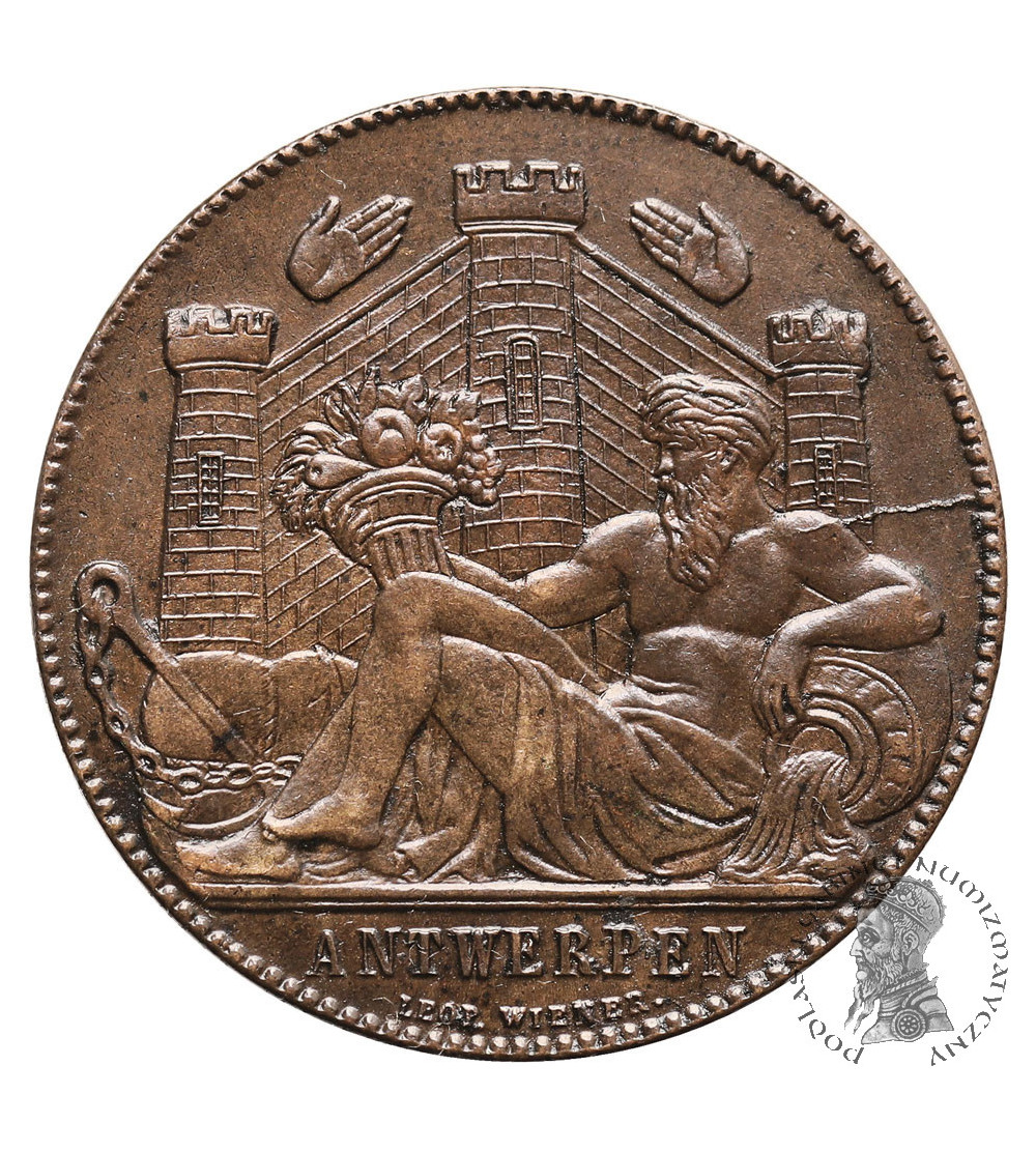 Belgium. Commemorative bronze token "World Expo in Antwerp" 1885