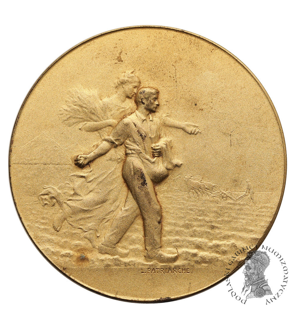 Francja, Burgudnia. Medal pamiątkowy Rolniczego Towarzystwa Kantonu Seurre, ok. 1910