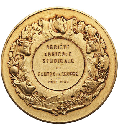 France, Burgundy. Commemorative medal of the Agricultural Society of the Canton of Seurre, circa 1910