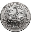 Zambia. 5000 Kwacha 2003, słonie afrykańskie - 1 Oz Ag .999