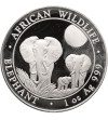 Somalia. 100 Shillings 2014, African Elephants - Proof