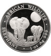 Somalia. 100 szylingów 2014, słonie afrykańskie - Proof