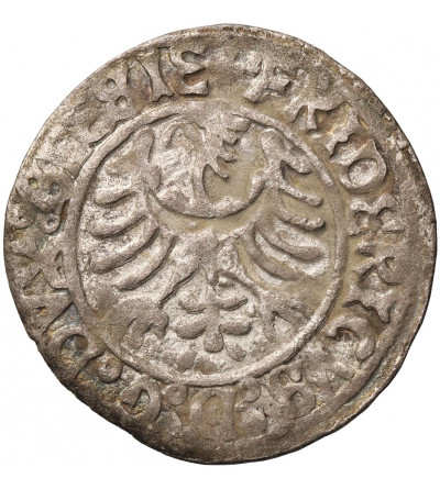Śląsk. Księstwo Legnicko-Brzesko-Wołowskie, Fryderyk II 1488-1547. Grosz bez daty, Legnica