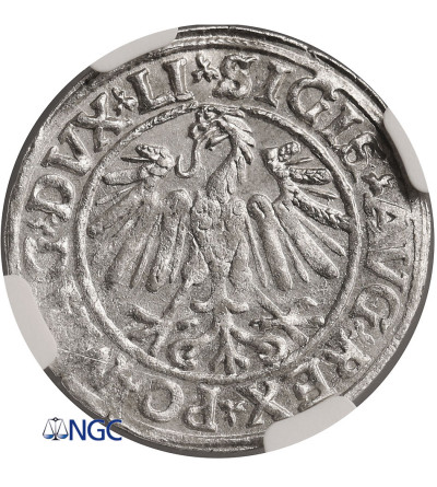 Polska / Litwa, Zygmunt II August 1545-1572. Półgrosz litewski (1/2 grosza) 1547, Wilno - NGC MS 63