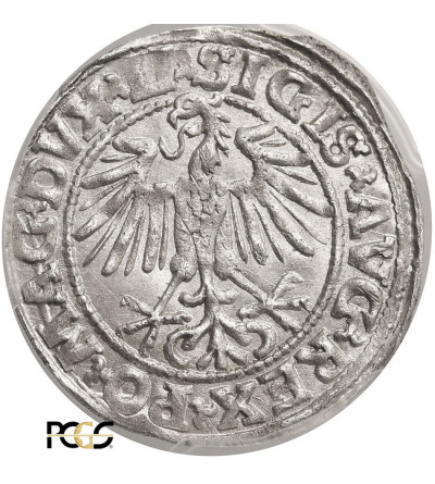 Polska / Litwa, Zygmunt II August 1545-1572. Półgrosz litewski (1/2 grosza) 1549, Wilno - PCGS MS 62