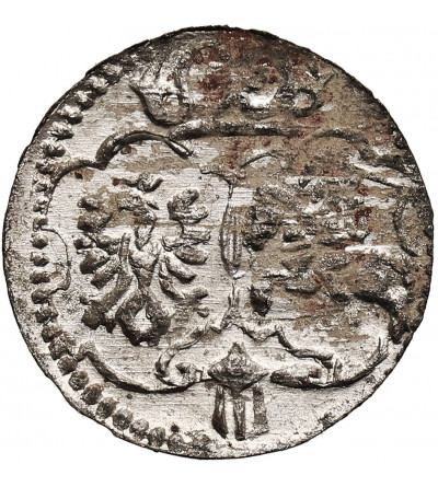 Polska, Zygmunt III Waza 1587-1632. Denar 1623, Łobżenica