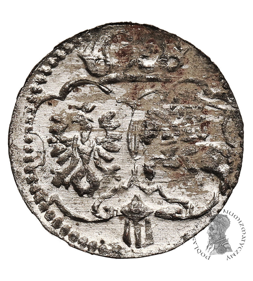 Poland, Zygmunt III Waza 1587-1632. Denar 1623, Lobzenica mint
