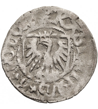 Poland. Casimir Jagiellon 1446-1492. Szelag (Shilling) ND, Gdansk (Danzig)