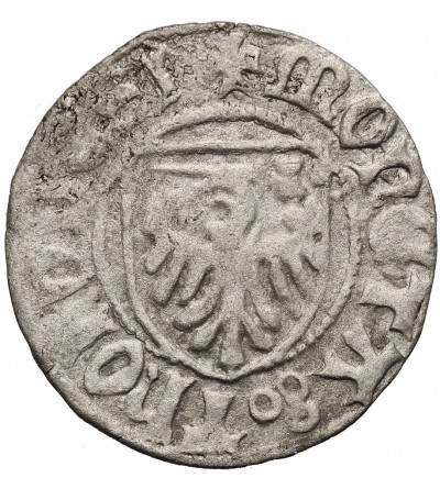 Polska. Kazimierz Jagiellończyk 1446-1492. Szeląg bez daty, Toruń