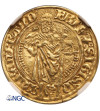 Niemcy. Brandenburgia-Frankonia, Fryderyk i Zygmunt. Goldgulden bez daty (1486-1495), Schwabach - NGC AU Details