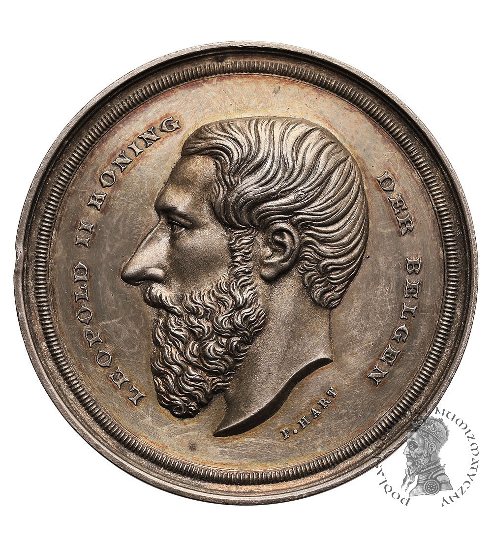 Belgia, Leopold II (1865-1909). Medal ok 1880, Konkurs skoków byków przez przeszkody we Flandrii Wschodniej