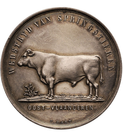 Belgia, Leopold II (1865-1909). Medal ok 1880, Konkurs skoków byków przez przeszkody we Flandrii Wschodniej