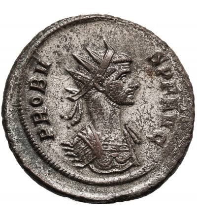 Roman Empire, Probus 276-282 AD. BI Antoninian, Rome mint - PROVIDENTIA AVG