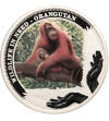 Tuvalu. 1 Dolar 2011, Orangutan, seria Dzikie Zwierzęta w potrzebie (Wildlife in need), kolorowana 1 oz Silver Proof
