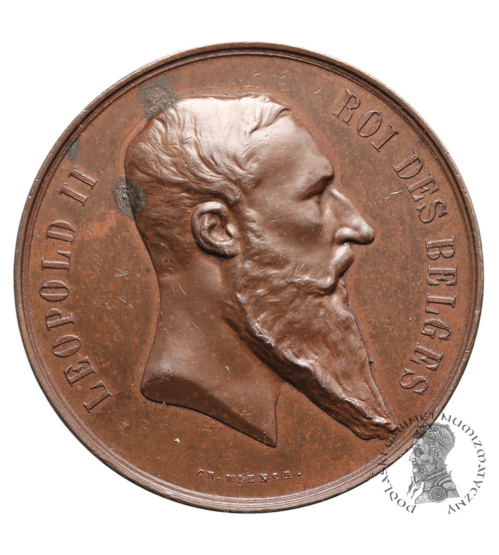 Belgia, Leopold II (1865-1909), Bruksela. Medal 1880 upamiętniający Wystawę Narodową, Ch. Wiener,