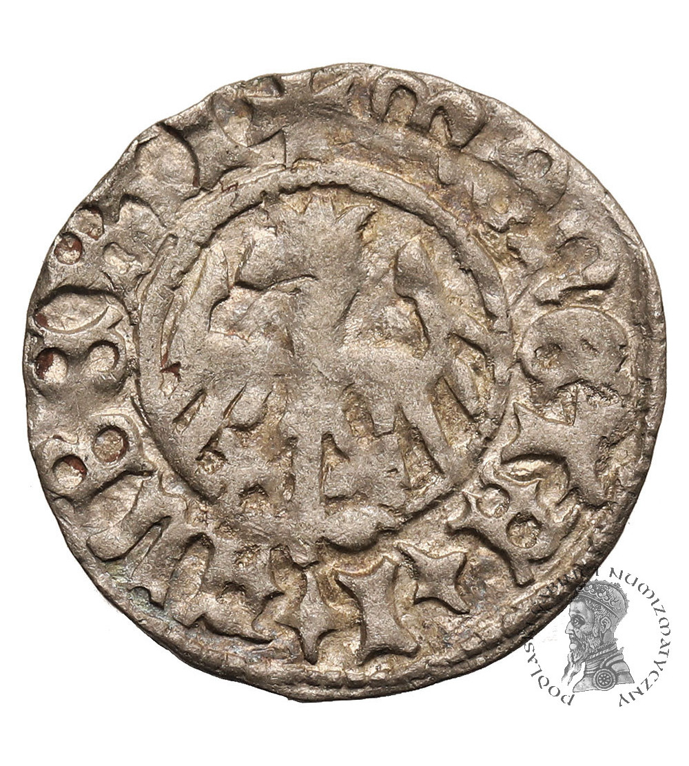 Poland, John Albert 1492-1501. Polgrosz (1/2 Grossus) no date, Krakow mint