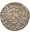 Poland, John Albert 1492-1501. Polgrosz (1/2 Grossus) no date, Krakow mint