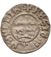 Poland, John Albert 1492-1501. Polgrosz (1/2 Grossus) no date, Krakow mint