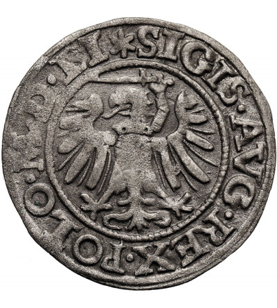 Polska, Zygmunt II August 1545-1572. Szeląg 1549, Gdańsk - legenda LI, Ex WAG / Künker