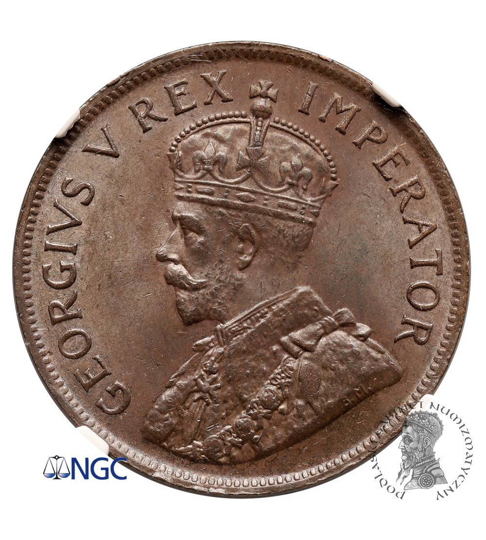 South Africa. Penny 1926, George V - NGC MS 64 BN