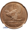 Irlandia, wolny stan. 1 Penny (Pens) 1928, kura, Londyn - NGC MS 65
