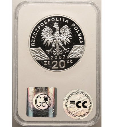 Poland. 20 Zlotych 2007, Grey seal - Proof GCN ECC PR 70