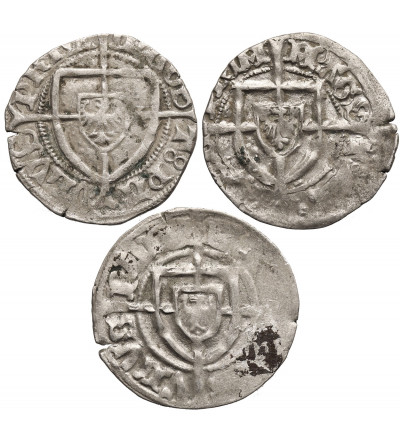 Zakon Krzyżacki, Paweł I Bellitzer von Russdorff, 1422-1441. Zestaw szelągów 3 szt., bez daty, Gdańsk lub Toruń