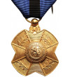 Belgia, Leopold II (1865 - 1909). Złoty Medal Orderu Leopolda II, pozłacany brąz