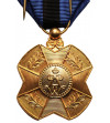 Belgium, Leopold II (1865 - 1909). Gold Medal of the Order of Leopold II, gilt-bronze