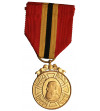 Belgia, Leopold II (1865-1909). Medal Pamiątkowy 1905, Rubinowy Jubileusz panowania króla Leopolda II