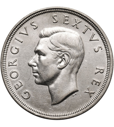 South Africa, George VI. 5 Shillings 1951, Springbok