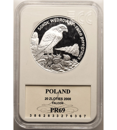 Poland. 20 Zlotych 2008, Peregrine falcon - Proof GCN ECC PR 69