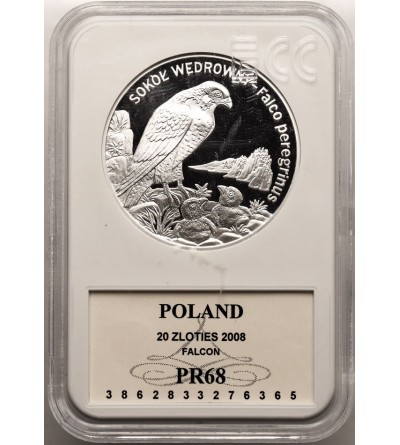 Poland. 20 Zlotych 2008, Peregrine falcon - Proof GCN ECC PR 68