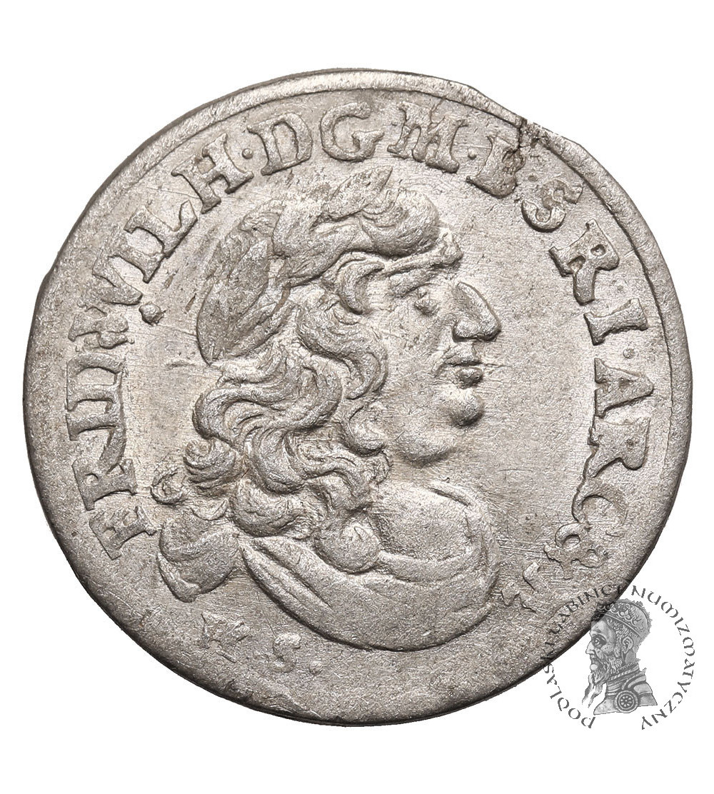 Brandenburg-Preussen (Prussia). Friedrich Wilhelm, the great elector, 1640-1688. 6 Gröscher 1682, HS, Königsberg