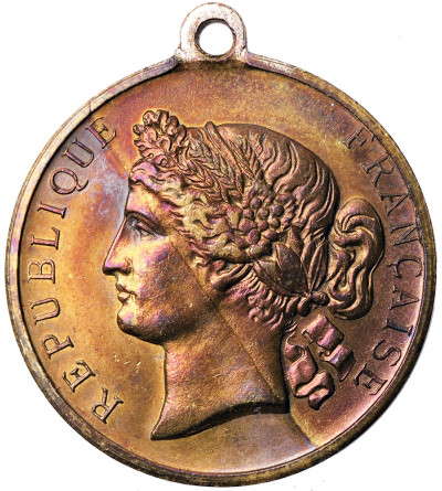 Francja. Medal - Pamiątka pierwszych obchodów krajowych Wystawy, 30 czerwca 1878 r.