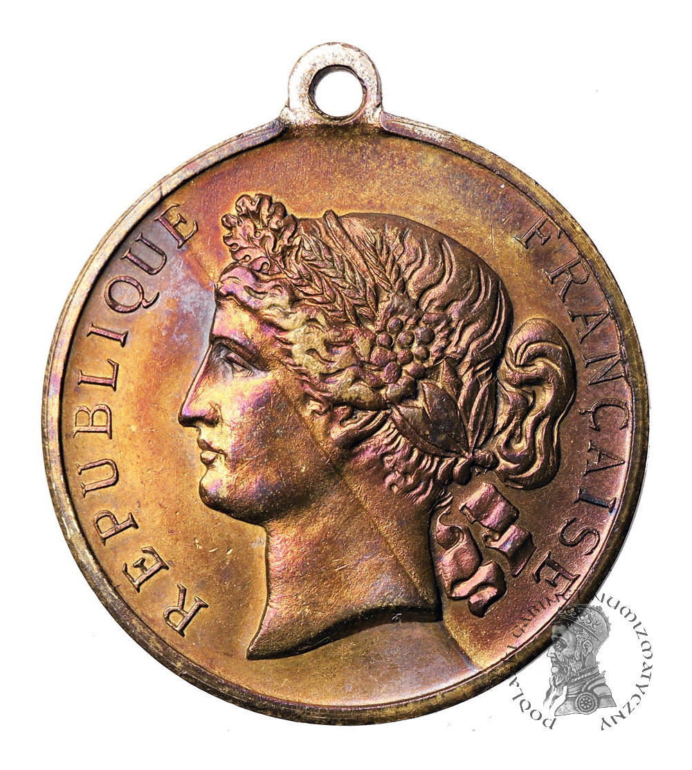 Francja. Medal - Pamiątka pierwszych obchodów krajowych Wystawy, 30 czerwca 1878 r.