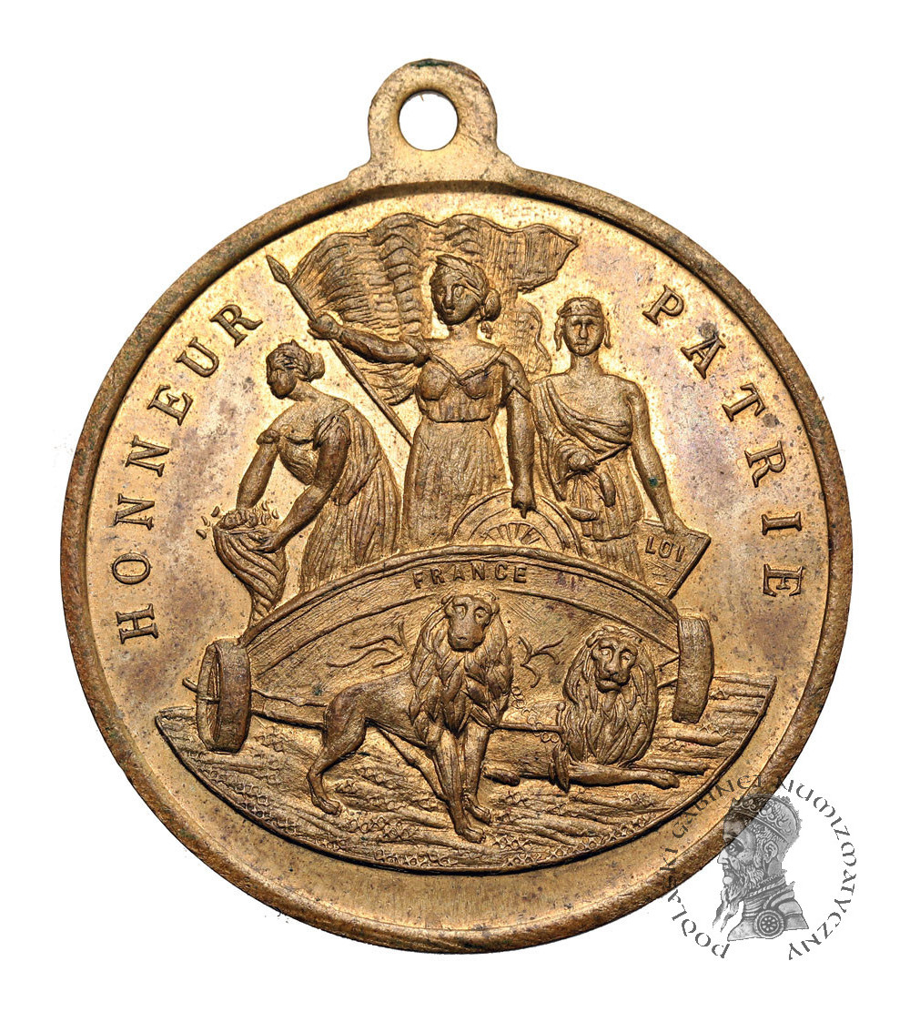 France. Medal - Souvenir de la première fête nationale de Paris, June 30, 1878