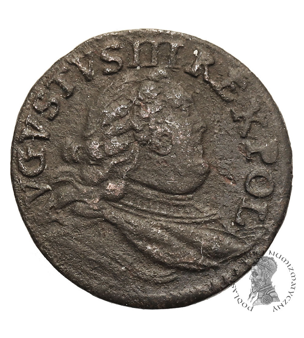 Polska, August III Sas, 1733-1763. Szeląg 1753 V, Gubin