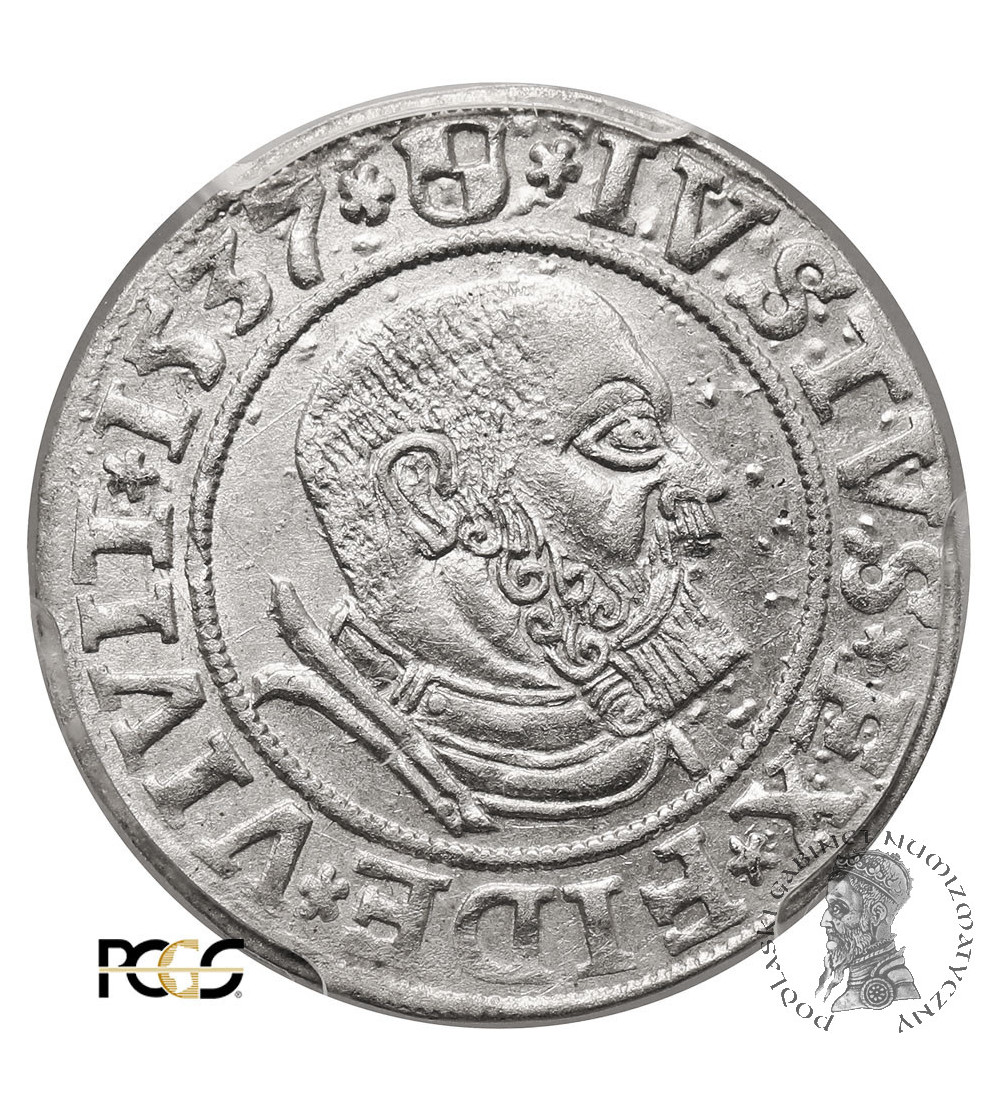 East Prussia, Preussen Herzogtum (Ostpreussen). Groschen 1537, Königsberg mint - PCGS MS 63