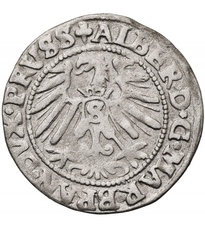 East Prussia, Preussen Herzogtum (Ostpreussen). Groschen 1546, Königsberg mint