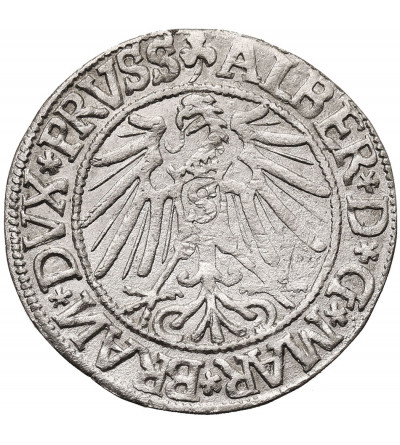 Prusy Książęce. Albrecht Hohenzollern, 1525-1568. Grosz 1544, Królewiec - szeroka broda