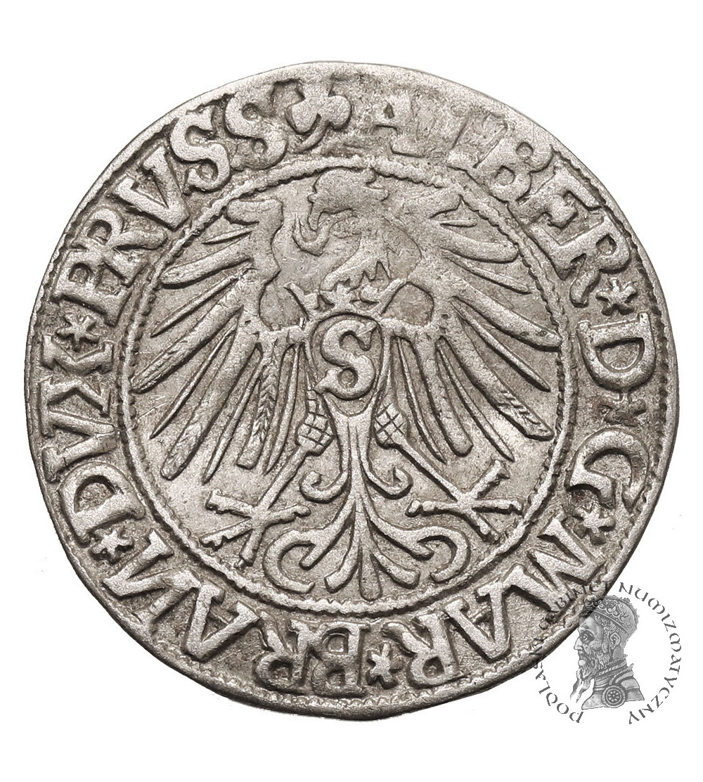 Prusy Książęce. Albrecht Hohenzollern, 1525-1568. Grosz 1544, Królewiec - spiczasta broda