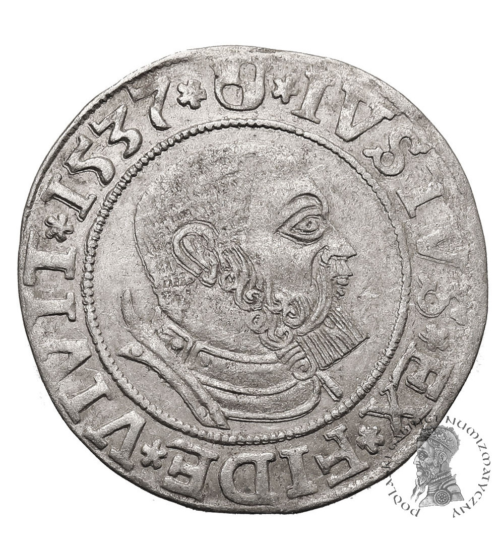 East Prussia, Preussen Herzogtum (Ostpreussen). Groschen 1537, Königsberg mint