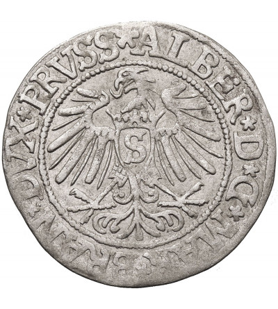 East Prussia, Preussen Herzogtum (Ostpreussen). Groschen 1537, Königsberg mint