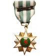 Wietnam. Medal 1960 Kampanii Republiki Wietnamu