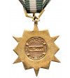 Wietnam. Medal 1960 Kampanii Republiki Wietnamu