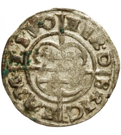 Szeląg 1536, Ryga