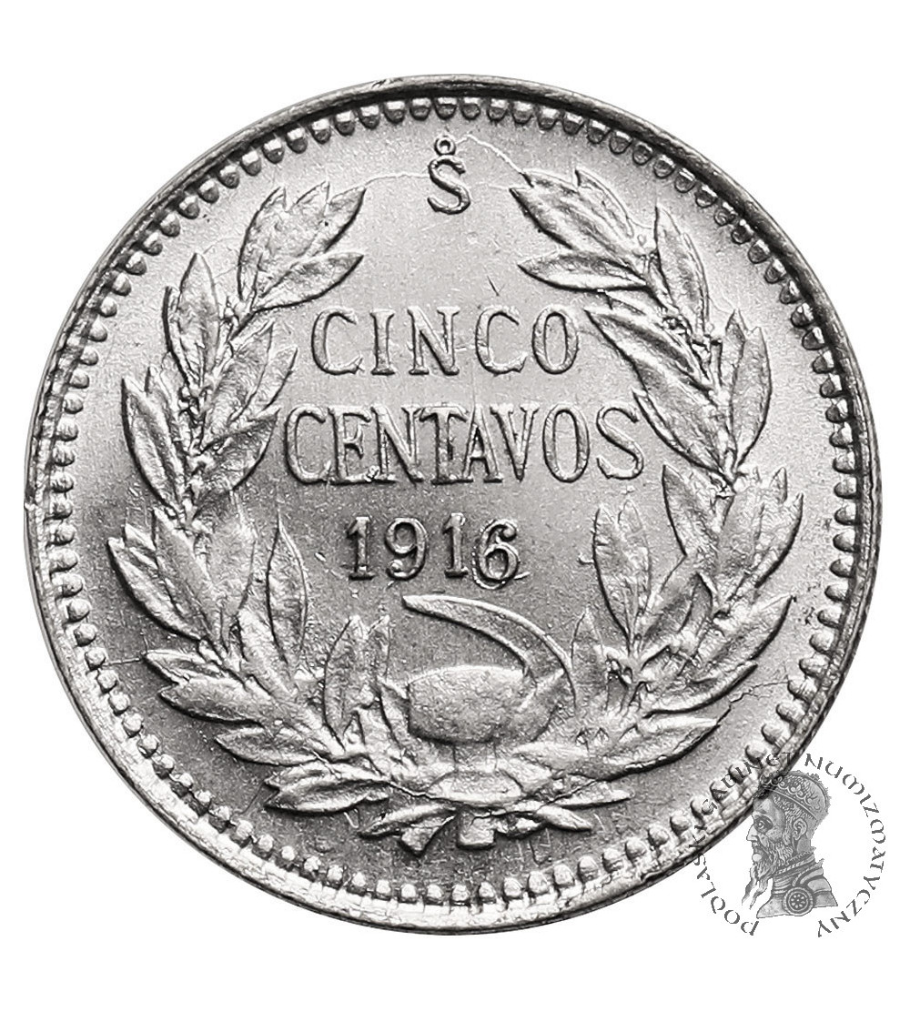 Chile, Republic. 5 Centavos 1916, Condor