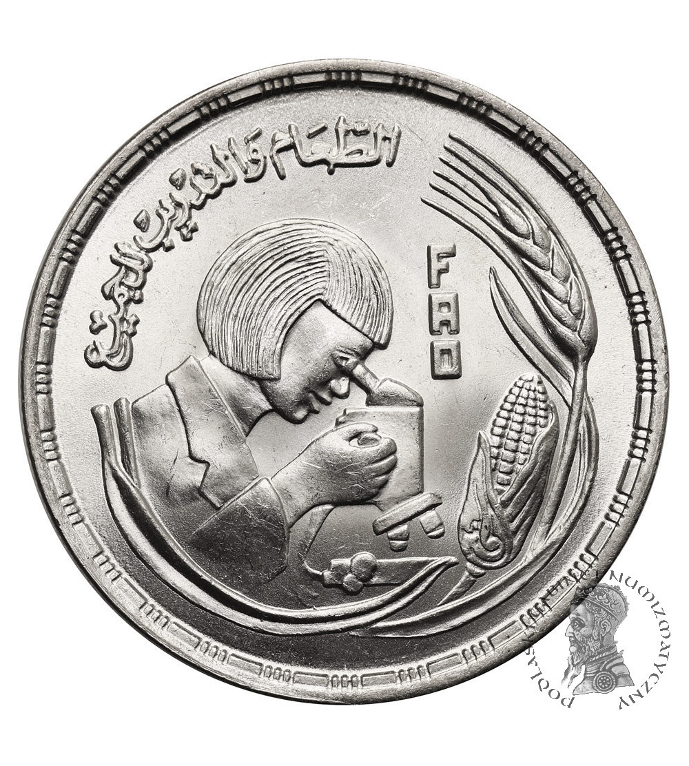 Egypt. 1 Pound AH 1398 / 1978 AD, F.A.O.